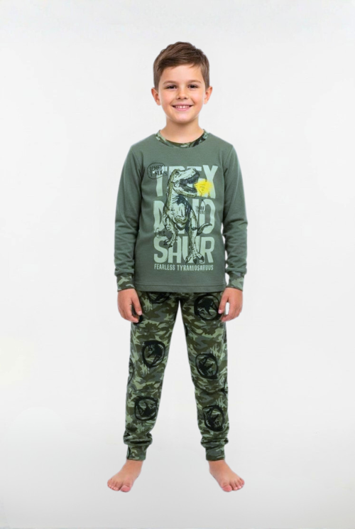Dečija pidžama Bear Underwear sa dugim rukavima, zeleni model sa dinosaurus printom, pamučna pidžama za dečake, studijska bela pozadina